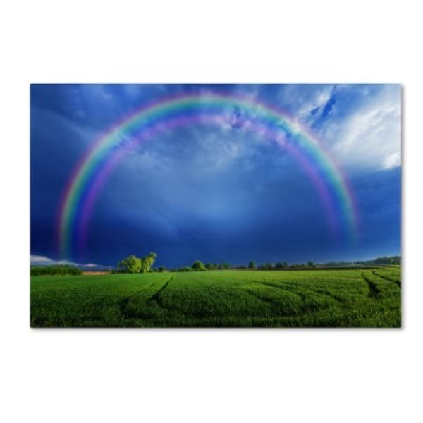 Philippe Sainte-Laudy 'Lucky Rainbow' Canvas Art, 22x32, Trademark Fine Art, Mfr#: PSL0287-C2232GG